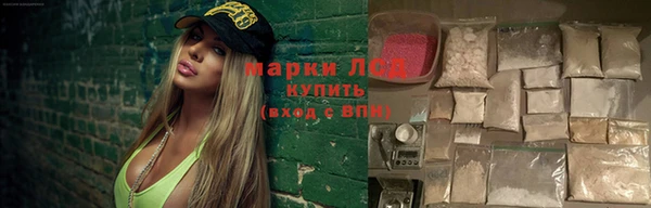 ГАЛЛЮЦИНОГЕННЫЕ ГРИБЫ Арсеньев
