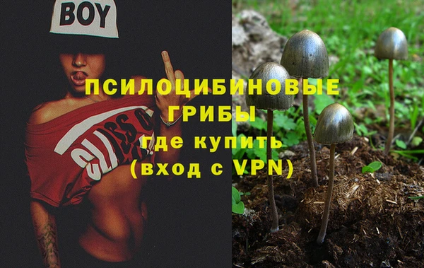первитин Сатка